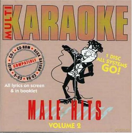 Karaoke: Male Hits V.2 [CD]