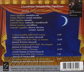 Napoli Mandolin Orchestra: Mandolini All'opera [CD]
