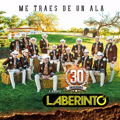 Grupo Laberinto: Me Traes De Un Ala [CD]