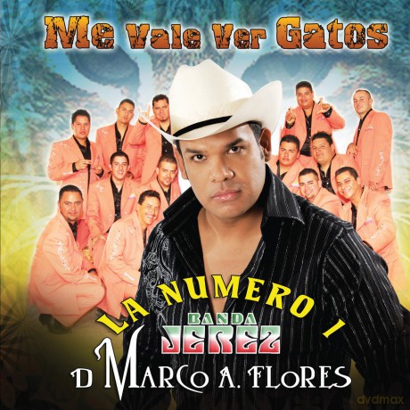 La #1 Banda Jerez: Me Vale Ver Gatos [CD]