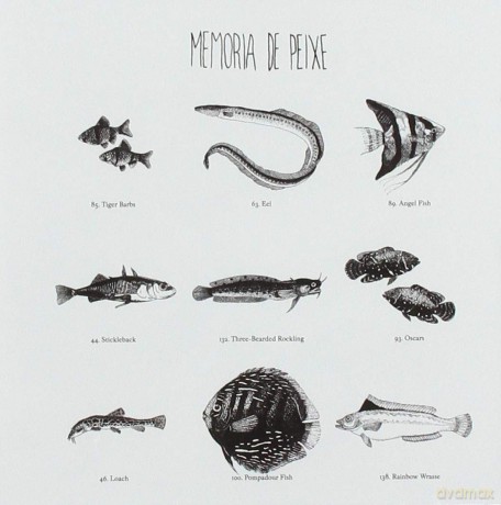 Memoria De Peixe: Memoria De Peixe-Descalcos Sobre a Terra [CD]