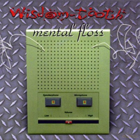 Wisdom Tooth: Mental Floss [CD]
