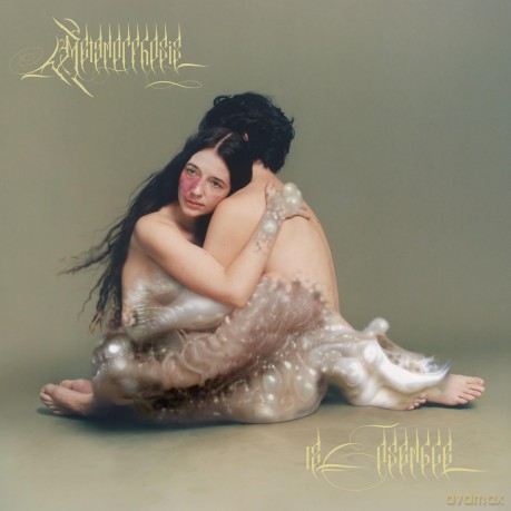 12 Ensemble: Metamorphosis [CD]