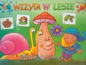 Wizyta w lesie [KSIĄŻKA]