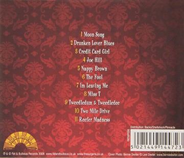 Surgens: Misadventures of a Broken Man [CD]