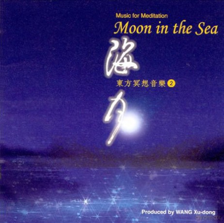 Moon in the Sea [CD]