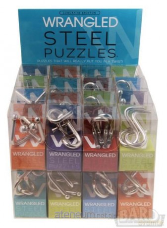 Wrangled steel puzzles [ZABAWKA]