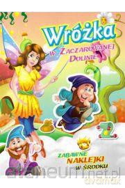 Wróżka w Zaczarowanej Dolinie [KSIĄŻKA]