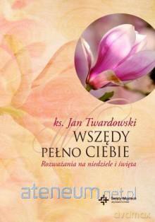 Wszędy pełno Ciebie. Rozważania na niedziele.. [KSIĄŻKA]