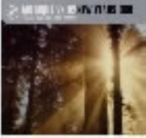 Musique vs U2: New Years Dub [CD]