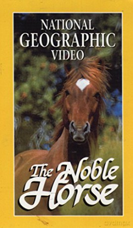 National Geographic Video: Noble Horse [CD]