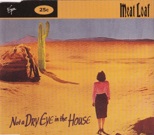Meat Loaf: Not A Dry Eye In The House [CD]