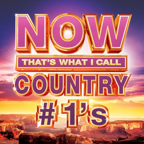 Now Country #1s [CD]