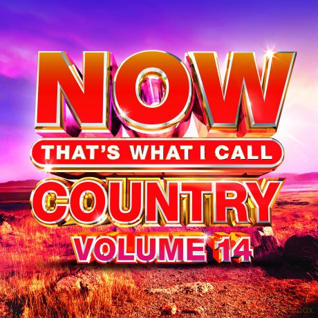 Now Country Vol 14 [CD]