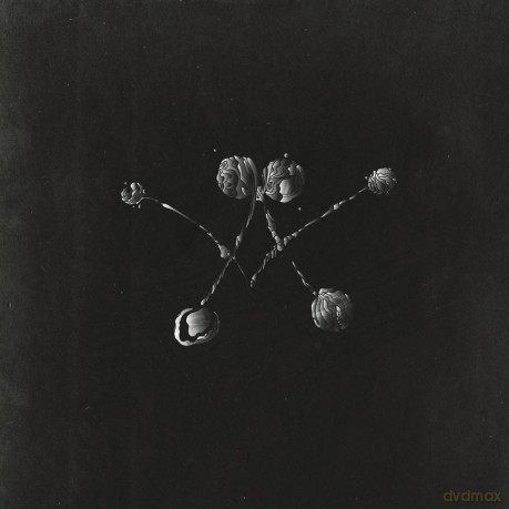 Waterstrider: Nowhere Now [CD]