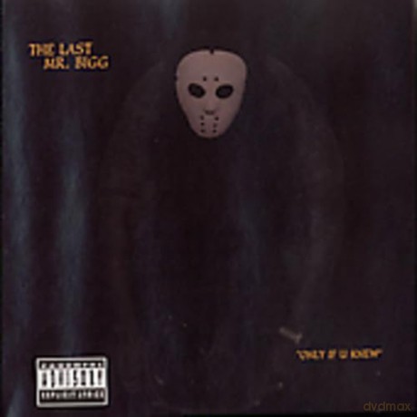 Mr Bigg: Only if U Knew [CD]
