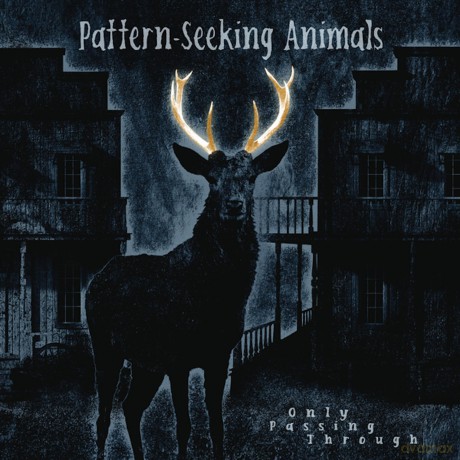 Pattern-Seeking Animals: Only Passing Through [CD]