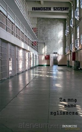 Za mną same zgliszcza [KSIĄŻKA]
