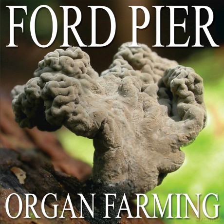 Ford Pier: Organ Farming [CD]