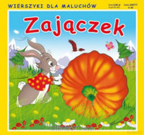 Zajączek [KSIĄŻKA]