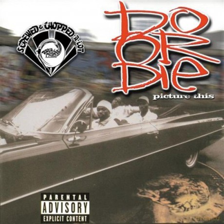 Do Or Die: Picture This [CD]