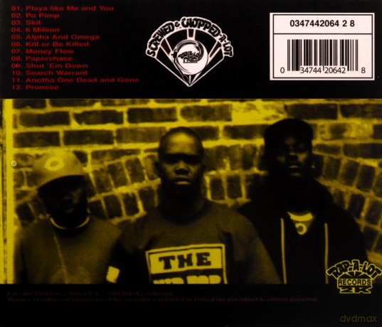 Do Or Die: Picture This [CD]