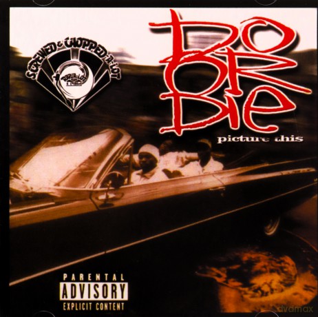 Do Or Die: Picture This [CD]