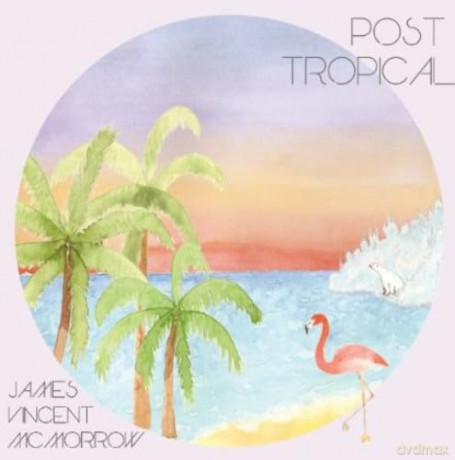 James Vincent Mcmorrow: Post Tropical [CD]