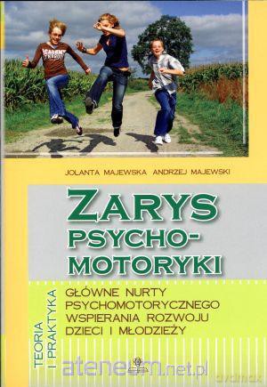 Zarys psychomotoryki. Główne nurty... [KSIĄŻKA]