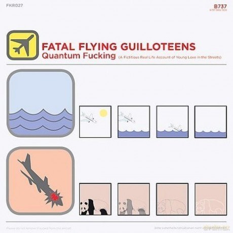 Fatal Flying Guilloteens: Quantum F**King [CD]