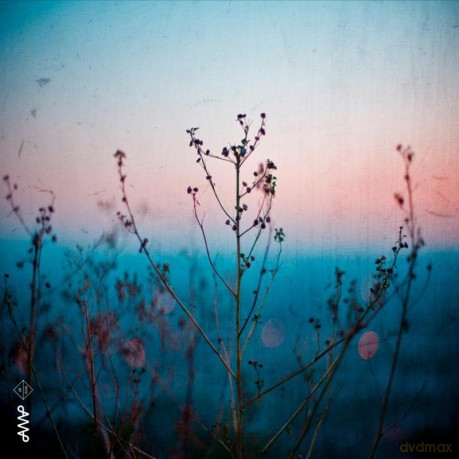 Quiet Quartet: Quiet Quartet [CD]