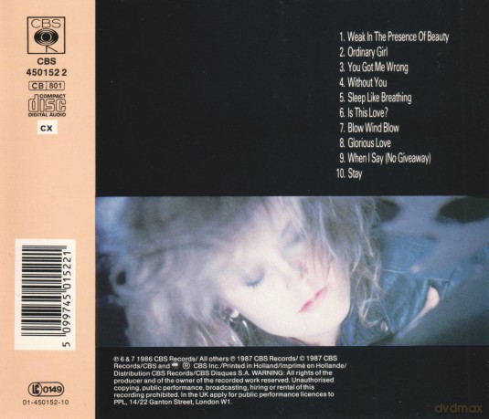 Alison Moyet: Raindancing [CD]