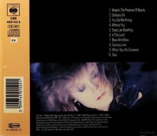 Alison Moyet: Raindancing [CD]