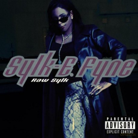 Sylk E Fine: Raw Sylk [CD]