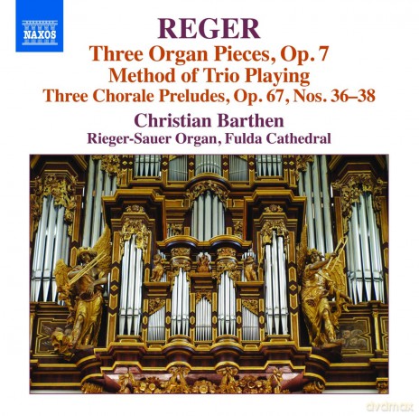 Christian Barthen: Reger: Organ Works Volume 16 [CD]