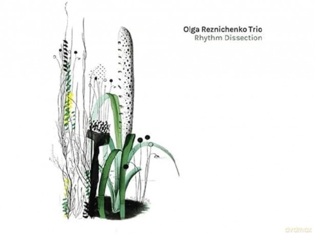 Olga Reznichenko Trio: Rhythm Dissection [CD]