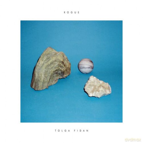 Tolga Fidan: Rogue [CD]