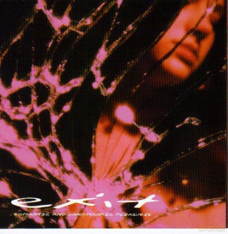 Exit: Romantic and Unromantic Pleasures [CD]
