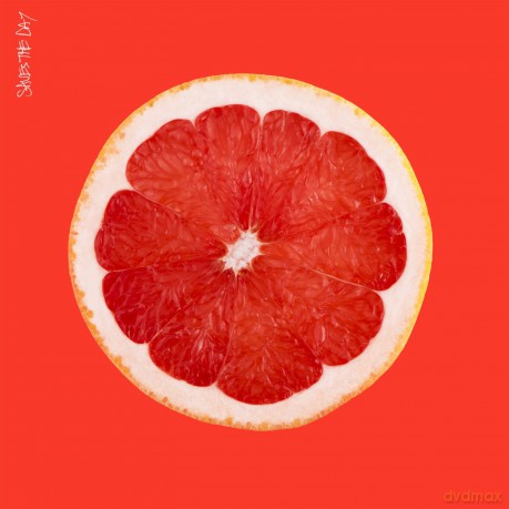 Saves The Day: Saves the Day [CD]