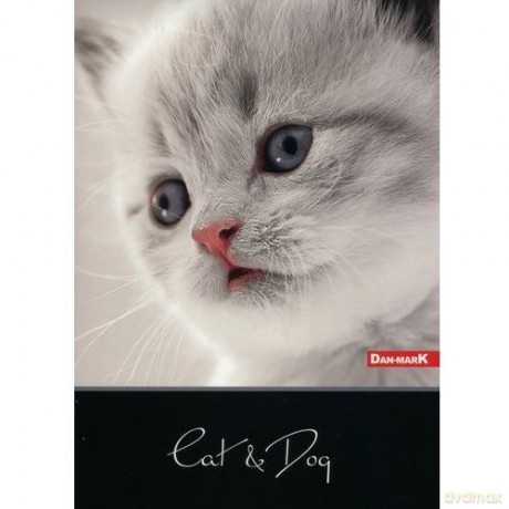 Zeszyt A5/60K/BR linia 10 szt. Cat&Dog [SZKOŁA]