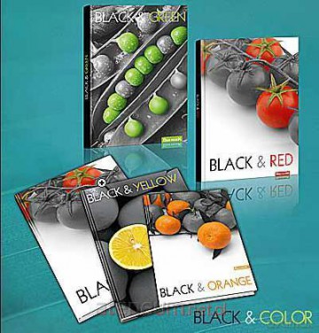 Zeszyt A5/80K/BR kratka 10 szt. Black&Color [SZKOŁA]