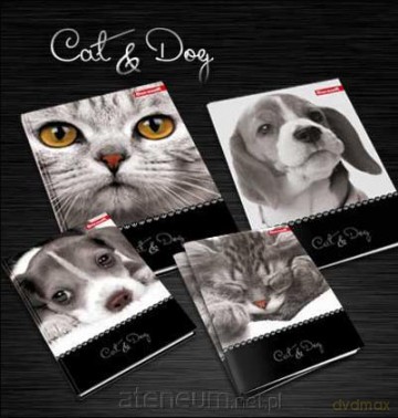 Zeszyt A5/80K/BR kratka 10 szt. Cat&Dog [SZKOŁA]