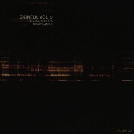 Skinful - Vol 3 [CD]