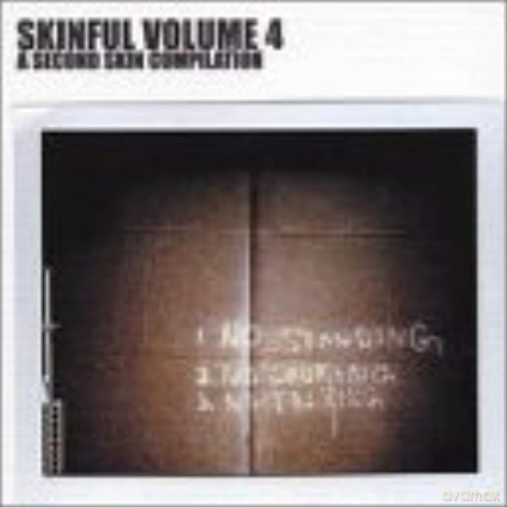 Skinful Volume 4 [CD]