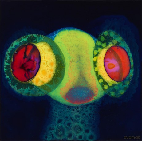 Osees: Sorcs 80 [CD]