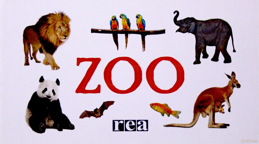 ZOO (harmonijka) [KSIĄŻKA]