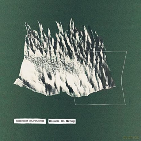 Bend The Future: Sounds So Wrong [CD]