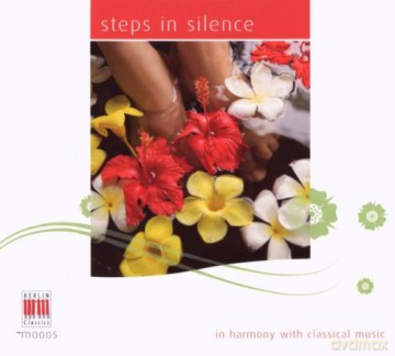 Steps in Silence [CD]