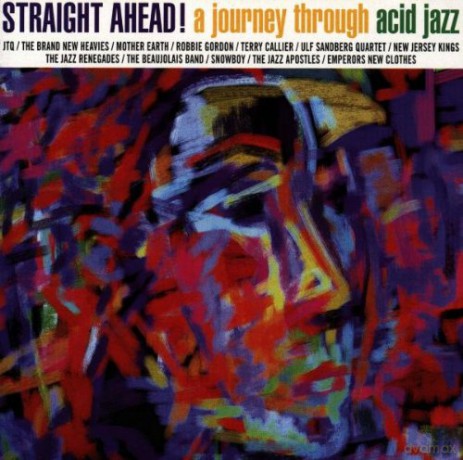 Straight Ahead A Journey Through Acid. [CD]