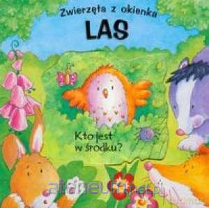 Zwierzęta z okienka - Las [KSIĄŻKA]